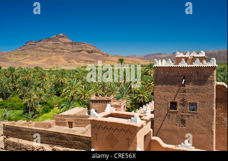 Vue depuis le toit du Qaid Ali Asslim, Kasbah, dominant une palmeraie et le djebel Kissane Agdz, montagne, Draa-Valley Banque D'Images