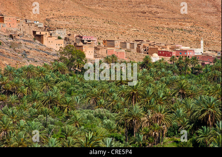 Petit village berbère avec une mosquée et d'une palmeraie, l'Ait Mansour Valley, Anti-Atlas, le sud du Maroc, Maroc, Afrique Banque D'Images