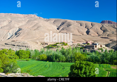 Paysage typique de la vallée de la rivière Dadès, petit village berbère, et les champs cultivés, la vallée du Dadès Banque D'Images