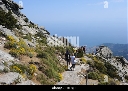 Les sentiers de randonnée du Monte Capanne sur l'île d'Elbe, Italie Banque D'Images