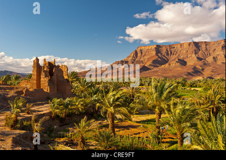 Kasbah en ruine, un ancien château bâti résidentiel des Berbères d'adobe, et la palmeraie en face de la plage de la montagne Djebel Banque D'Images