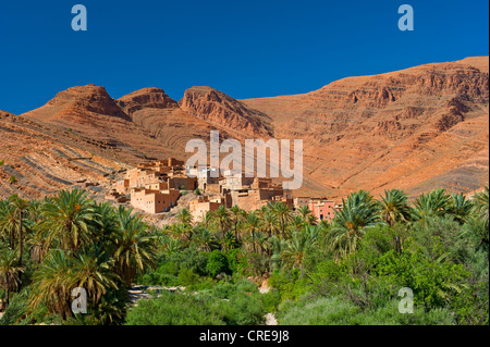 Petit village berbère avec Palm Grove dans le magnifique paysage de montagnes de l'Anti-Atlas avec Roche géologique remarquable Banque D'Images