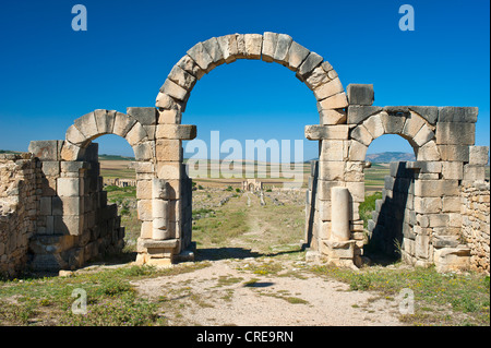 Archway, Tanger Gate, ruines romaines, ancienne ville résidentielle de Volubilis, Maroc, Afrique du Nord Banque D'Images