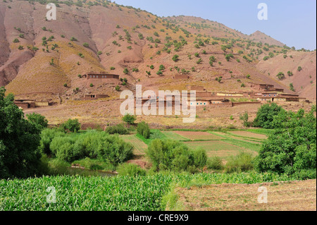 Paysage de montagne de la vallée de la rivière, avec des champs et d'un petit village berbère dans le Haut Atlas, les maisons sont faites à partir d'adobe Banque D'Images