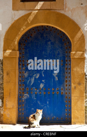 Typique de la vieille porte de bois d'un bâtiment résidentiel dans le centre historique de la ville ou médina, Site du patrimoine mondial de l'Unesco, , Maroc Banque D'Images