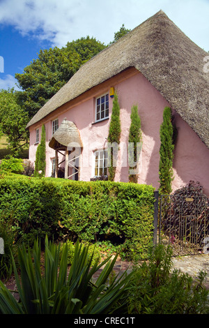 Rose Cottage est l'un des plus pittoresque de maisons dans le charmant village de Cockington, dans le Devon (Angleterre) Banque D'Images