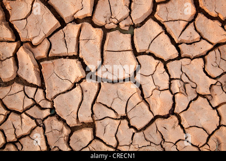 Séché sol loameux, près de Telouet, Maroc, Afrique Banque D'Images