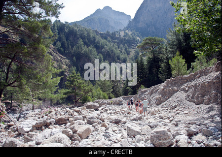 Grèce Crète Parc national méditerranéen de la Samarie Banque D'Images