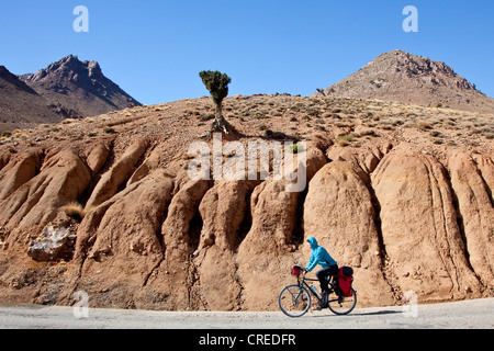 Cycliste en route vers Telouet, vallée de l'Ounila, Haut Atlas, près de Ouarzazate, Maroc, Afrique Banque D'Images