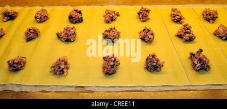 Production de pâtes carrés remplis de viande et légumes, Schwaebische Maultaschen, Allemagne, Bade-Wurtemberg Banque D'Images