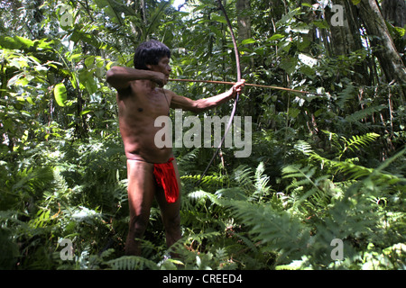 Chasseur d'Embera indiens dans la jungle avec la flèche et l'arc, la rivière Sambu à Pavarando, Panama, Darien, Pavarando Banque D'Images