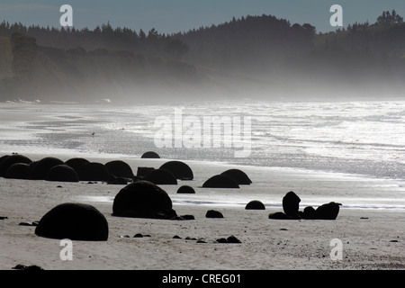 Les Moeraki Boulders, île du sud de la Nouvelle-Zélande Banque D'Images