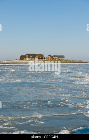 Mer du Nord gelé avec Warf Hilligenley sur Hallig Langeness, Holm, Frise du Nord, , le nord de l'Allemagne Banque D'Images