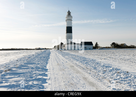 Rotes Kliff leuchtturm à Kampen, Sylt, Frise du Nord, Schleswig-Holstein, Allemagne du Nord, l'Allemagne, de l'Europe Banque D'Images