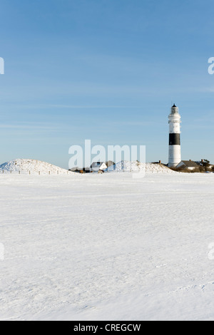 Rotes Kliff leuchtturm à Kampen, Sylt, Frise du Nord, Schleswig-Holstein, Allemagne du Nord, l'Allemagne, de l'Europe Banque D'Images