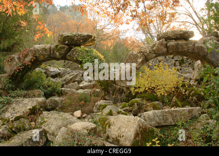 Termessos, ruines du temple d'Hadrien entre les arbres en automne, les couleurs de la Turquie, Turkish Riviera, Antalya Termessos, NP Banque D'Images