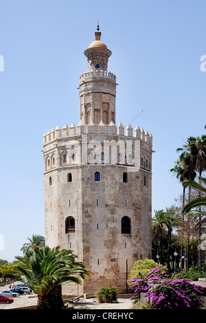 La Torre del Oro, Tour d'or, une fois qu'une partie de la forteresse maure, Séville, Andalousie, Espagne, Europe Banque D'Images