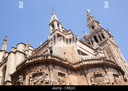La Giralda, le clocher de la cathédrale de Santa Maria, UNESCO World Heritage Site, Séville, Andalousie, Espagne, Europe Banque D'Images