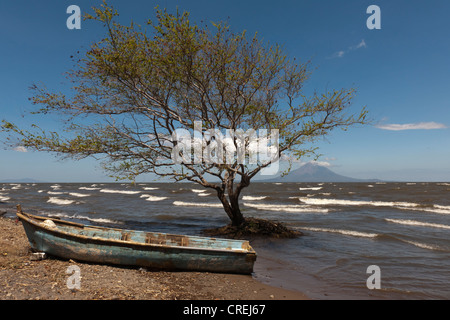 Île de Ometepe avec le volcan Volcán Concepción, 1610m, à Lago de Nicaragua, Nicaragua, Amérique Centrale Banque D'Images