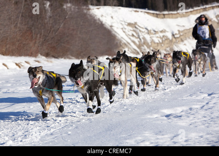 L'exécution de l'équipe de chien de traîneau de chiens, 4 fois champion musher Hans Gatt, mushing, Huskies d'Alaska au début de la Yukon Quest 1, Banque D'Images