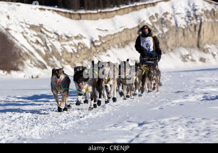 L'exécution de l'équipe de chien de traîneau de chiens, 4 fois vainqueur musher Hans Gatt, mushing, Huskies d'Alaska au début de la Yukon Quest Banque D'Images