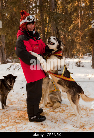 Jeune femme, musher de câliner Sled Dog en faisceau, Alaskan Husky, Territoire du Yukon, Canada Banque D'Images