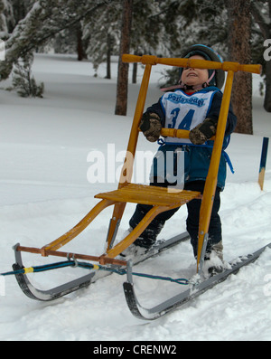 Jeune garçon sur un traîneau à chiens, motoneige, traîneau à chien kick, mushing, le traîneau à chien Hill race, Mt. Lorne, près de Whitehorse Banque D'Images