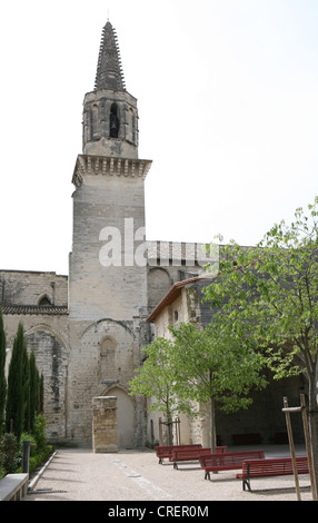 Cloître et le jardin des Carmes, Avignon Vacluse Provence France Europe Banque D'Images