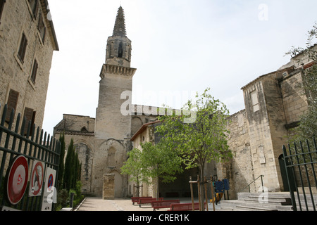 Cloître et le jardin des Carmes, Avignon Vacluse Provence France Europe Banque D'Images