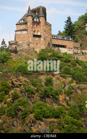 Burg Katz Katz, château, Allemagne, Rhénanie-Palatinat, St Goarshausen am Rhein Banque D'Images