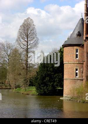 Baldcypress (Taxodium distichum), en hiver dans le Schlosspark Park, en Allemagne, en Rhénanie du Nord-Westphalie, Ruhr, Herten Banque D'Images