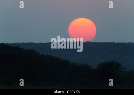 Le coucher du soleil, Dinero, Lake Corpus Christi, Texas, États-Unis Du Sud Banque D'Images