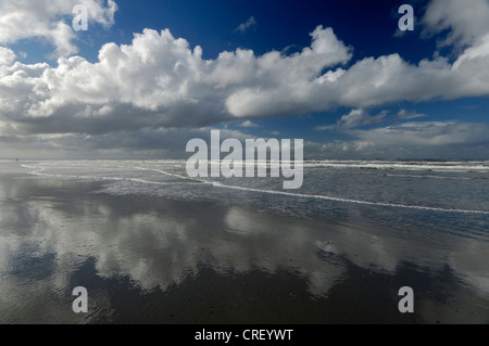 Tempête en mer du Nord, Pays-Bas, Ameland Banque D'Images