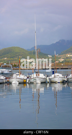 Port avec voiliers, Espagne, Majorque, Port Andratx Banque D'Images
