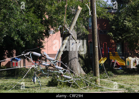 La tempête tropicale Irene provoque des pannes d'en Virginie. Vents d'irène a renversé des arbres sur des lignes électriques-Richmond,VA Banque D'Images