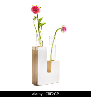 Vase en forme de U avec ranunculus fleurs Banque D'Images