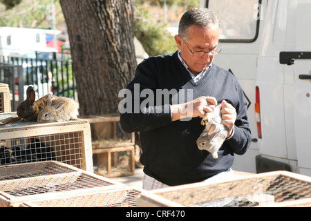 Lapin domestique (Oryctolagus cuniculus f. domestica), la vente de lapins domestiques sur le marché, l'Espagne, Majorque Banque D'Images