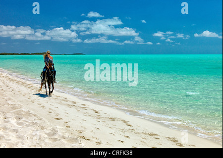 Horse Rider troting sur plage. Providenciales. Îles Turques et Caïques.. Banque D'Images