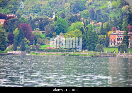 Tremezzo en face de Bellagio, en Ferry,Villas,Jardins,Destination populaire en été, le lac de Côme, les lacs italiens, Italie Banque D'Images