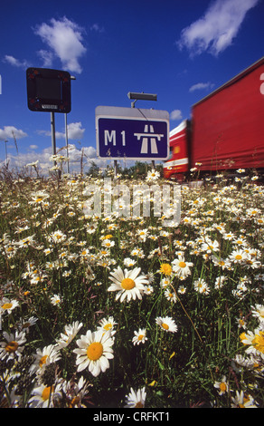 Camion passant panneau routier indiquant début de l'autoroute M1 entouré de fleurs sauvages près de Leeds Yorkshire UK Banque D'Images