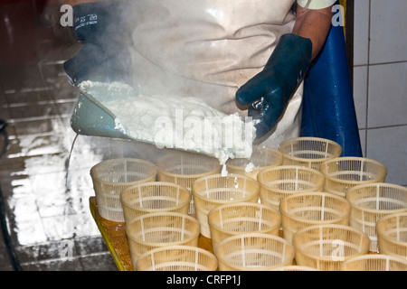 La production de fromage traditionnel : le remplissage de formes avec un fromage fait du petit-lait, appelé Ziegerkaese ou ricotta, Suisse, Valais, Zermatt, Taeschalp Banque D'Images