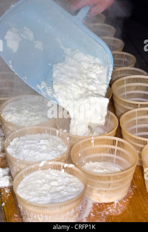 La production de fromage traditionnel : le remplissage de formes avec un fromage fait du petit-lait, appelé Ziegerkaese ou ricotta, Suisse, Valais, Zermatt, Taeschalp Banque D'Images