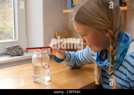 Les enfants d'expérimenter et de faire croître des cristaux. Étape 4 : solution de sel en suspension fil Banque D'Images