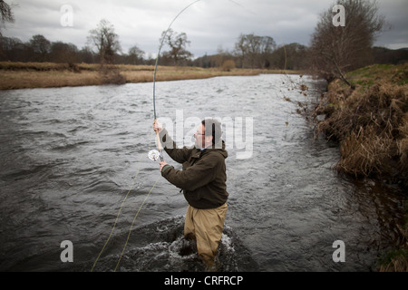 L'homme la pêche du saumon en rivière Banque D'Images