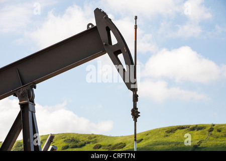 Un âne acquiesce à la pompe à huile, la baie de Kimmeridge Dorset, la seule réserve de pétrole à terre au Royaume-Uni . Banque D'Images