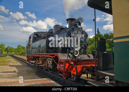 Ruegensche Kleinbahn, surnommé Rasender Roland, Germany, Mecklenburg-Western Pomerania, Ruegen Banque D'Images