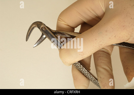 Dentiste tenant une paire de pinces orthodontiques utilisés pour l'extraction des dents. Banque D'Images