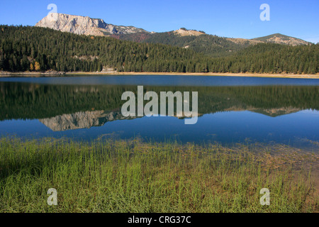 Black Lake, parc national de Durmitor, Monténégro Banque D'Images