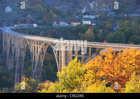 Pont de Tara, Tara River Canyon, parc national de Durmitor, Monténégro Banque D'Images