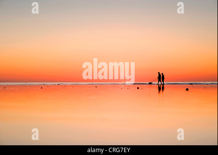 Les chiffres se profilant à pied leur chien sur le sable humide à côté de l'océan au coucher du soleil. Banque D'Images